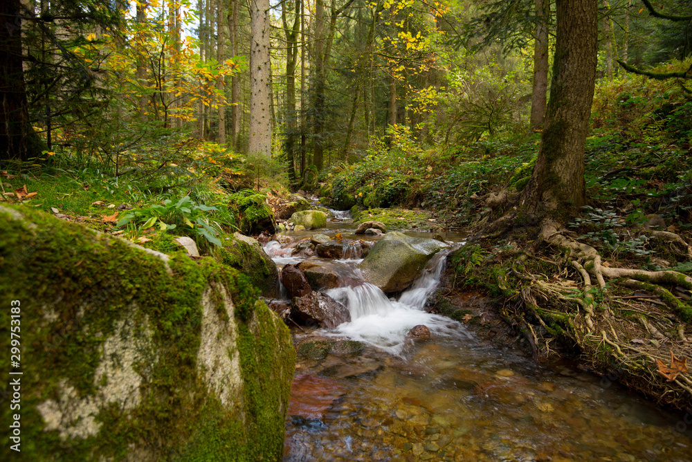 Edelfraubengrab-Wasserfälle bei Ottenhöfen im Schwarzwald