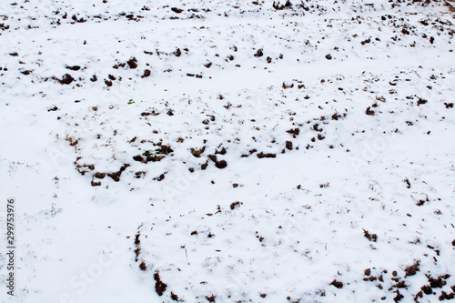 The garden beds are covered with snow. Close-up. Background.