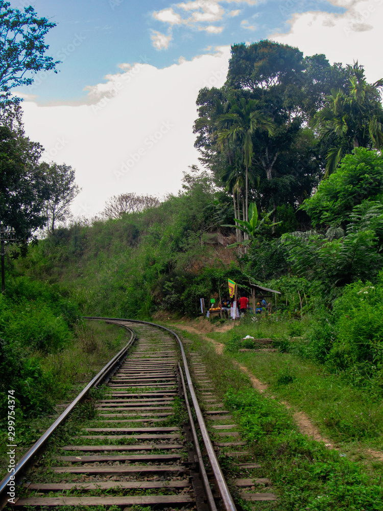 Nine Arches Bridge with rail road in Demodara near Ella city in Sri Lanka