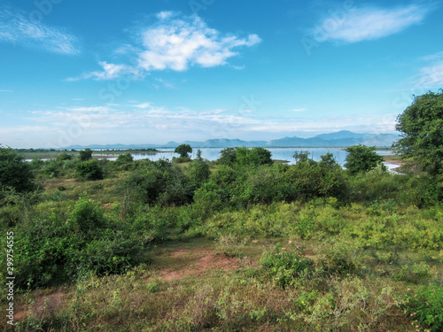 Green natural habitat at Castlereigh reservoir, surrounded by tea plantations in Sri Lanka
