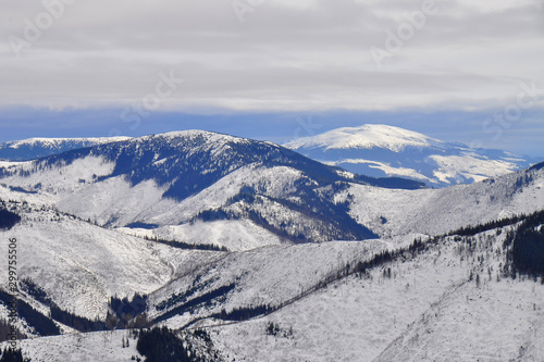 Winter landscape of Low Tatras mountains situated in the heart of Slovakia. Forests destroyed by human activity. Carpathian mountains. Kráľova hoľa peak. 