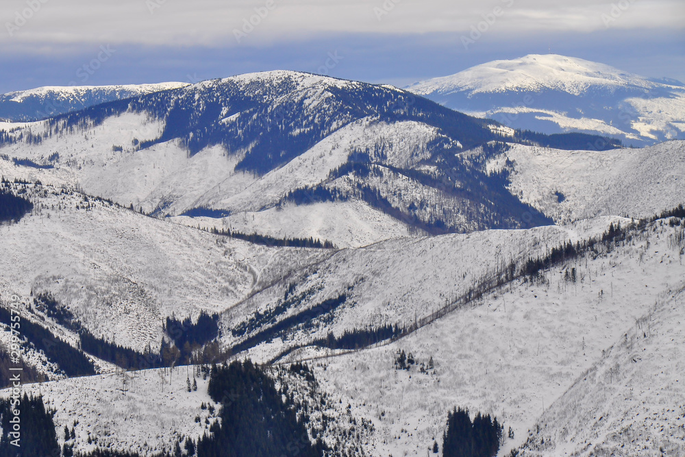 Obraz premium Winter landscape of Low Tatras mountains situated in the heart of Slovakia. Forests destroyed by human activity. Carpathian mountains. Kráľova hoľa peak. 