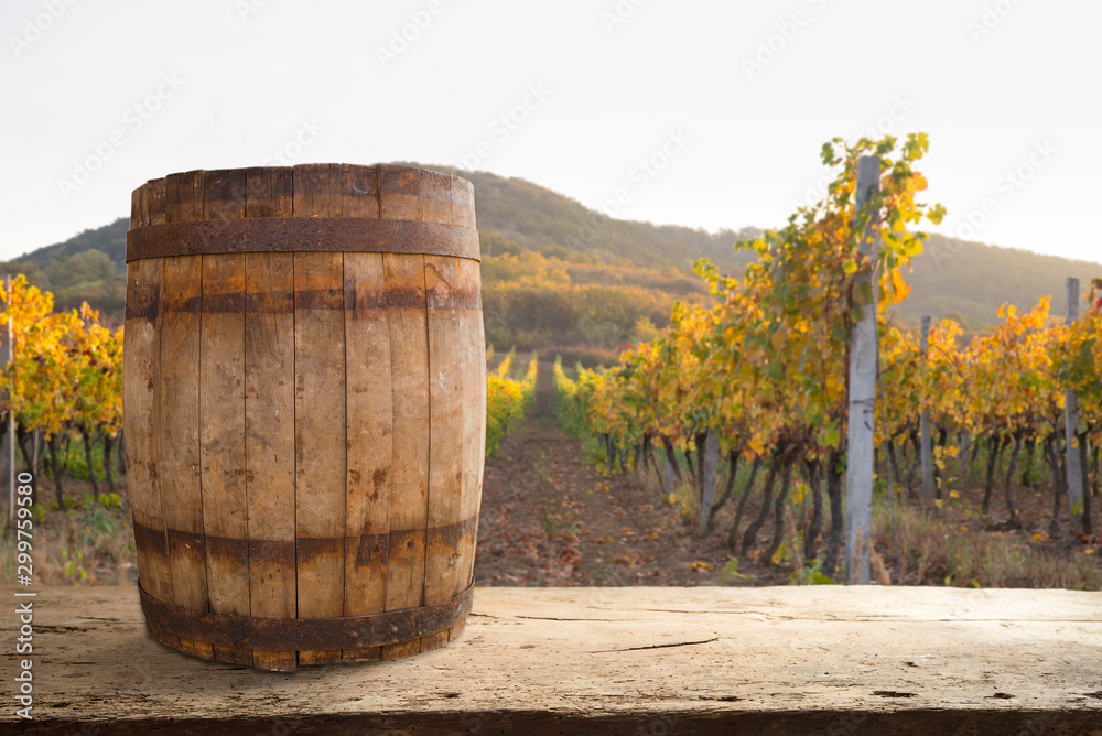 Red wine with barrel on vineyard in green Tuscany, Italy Red wine with barrel on vineyard in green Tuscany, Italy