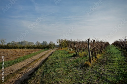 road in the countryside