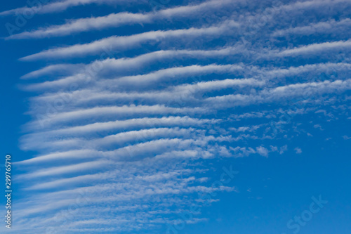 Schilderij op canvas Undulated cloud on a blue sky background