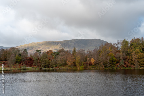 Morning light at Tarn Hows in the English Lake District with views of Yewdale Crag, and Holme Fell during autumn. photo