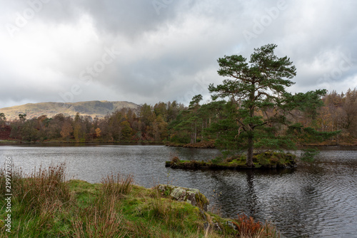 Morning light at Tarn Hows in the English Lake District with views of Yewdale Crag, and Holme Fell during autumn. photo