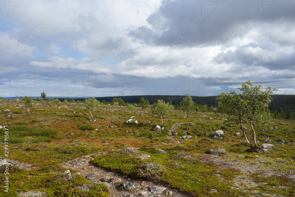 Kevo National Park in Finland