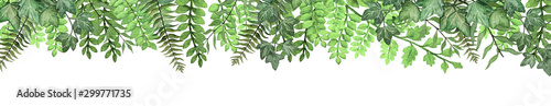 Long banner with hand drawn watercolor tropical fern leaves