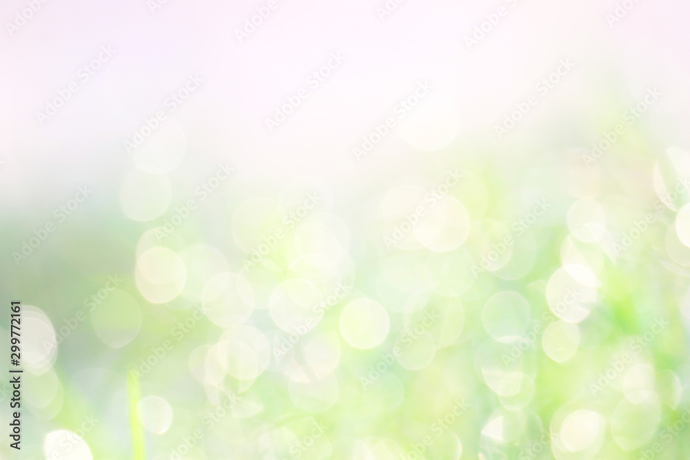 green white abstract blur colorful leaves flower tree in garden - obrazy, fototapety, plakaty 