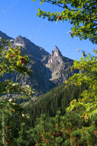 Obraz na płótnie Mount Mnich (Monk), Tatra Mountains, Poland w salonie