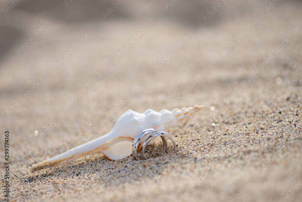 貝殻とペアリング