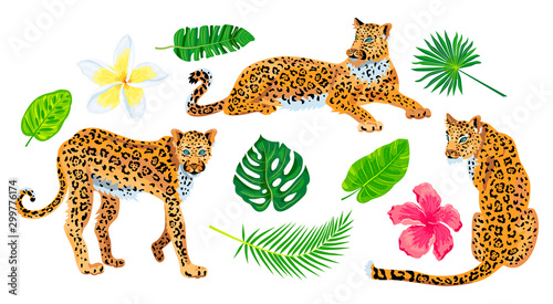 Leopard, tropical leaves, plumeria, exotic flower, hibiscus set. Design for jungle design flyer, poster, t-shirt print, invites, sticker. Vector illustration on white background.