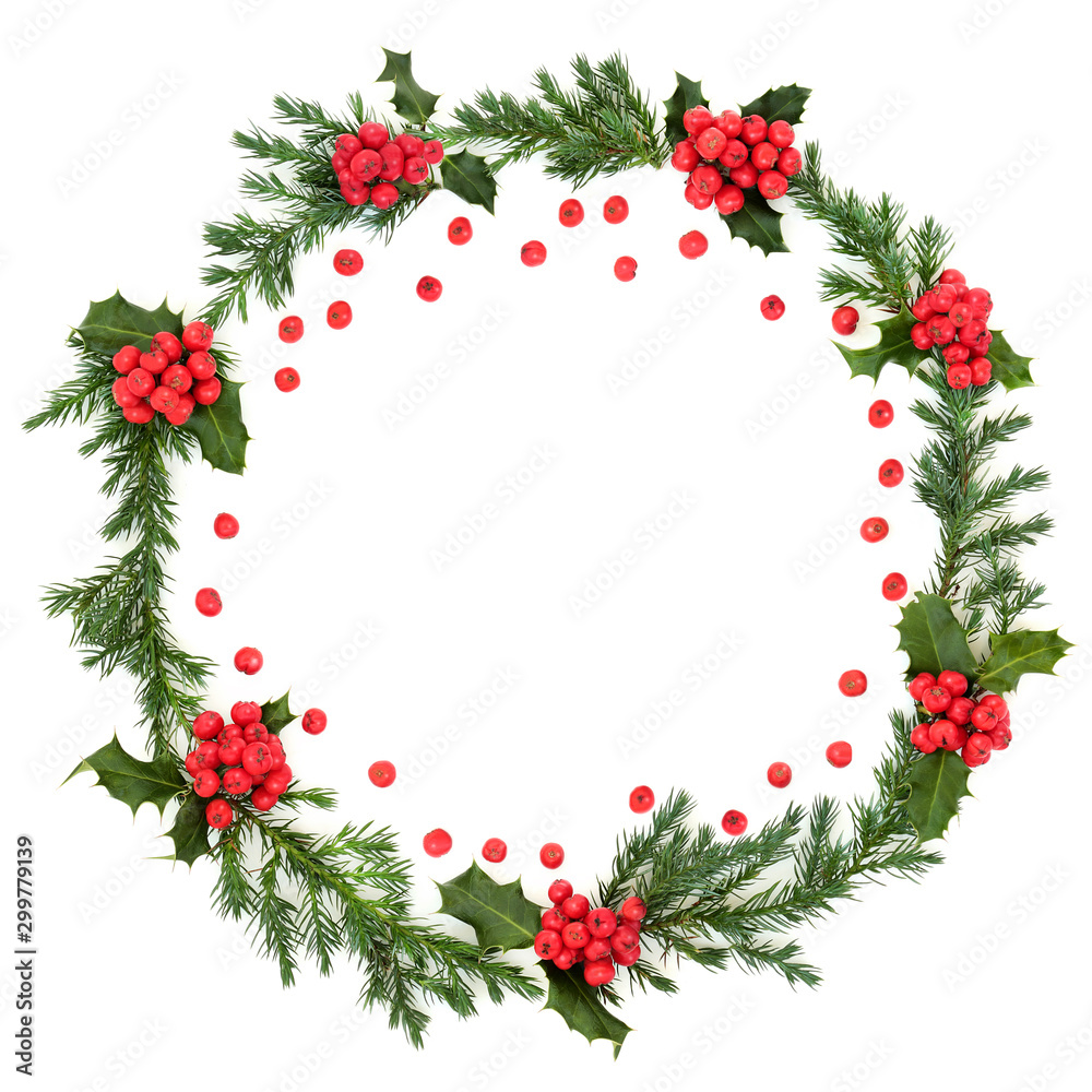 Holly and juniper leaf wreath with loose red berries for winter and Christmas on white background with copy space. Traditional symbol for the festive season. Holly and juniper leaf wreath with loose red berries for winter and Christmas on white background with copy space. Traditional symbol for the festive season.