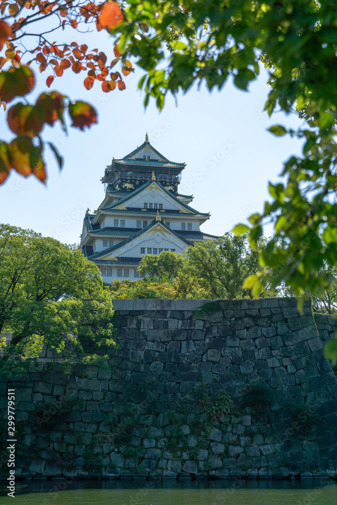 Fototapeta Osaka Castle in Japan
