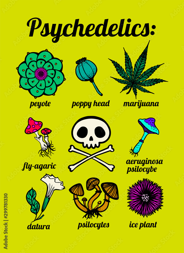 psychedelic plants peyote, marijuana, mushrooms, psilocybin, skull, t