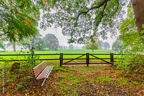Bench under tree branches next to a wooden fence on a farm in the countryside
