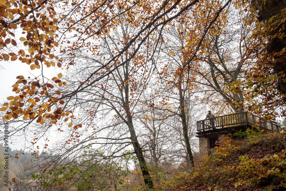 2019_11_1_Cei lake in Trentino, having a walk in the woodland in autumn season