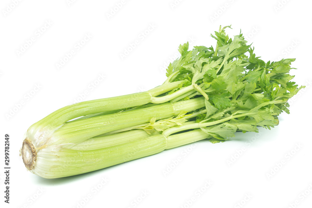 fresh Celery sticks, celery stalk isolated on white background fresh Celery sticks, celery stalk isolated on white background