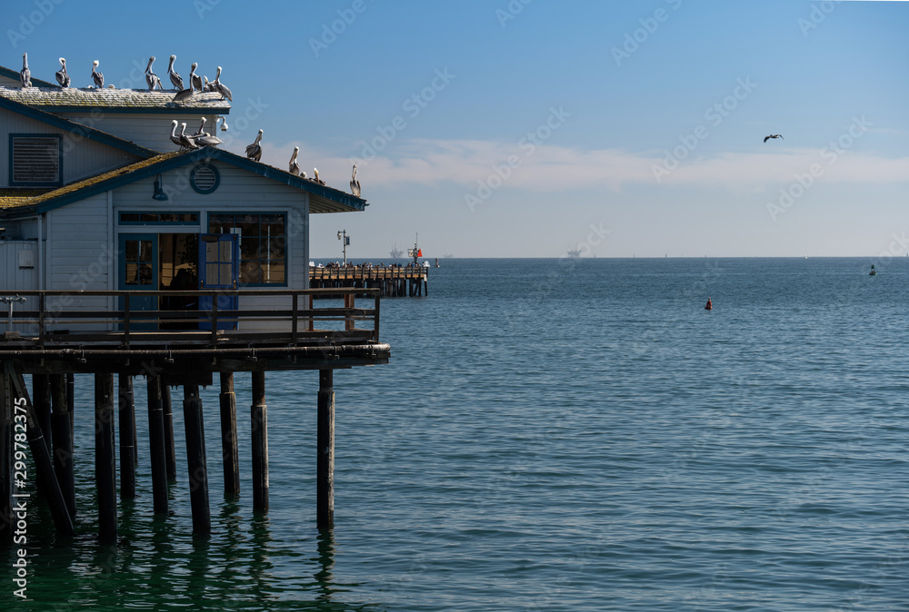 Pelicans sitting on a Stearns Warf pier, USA