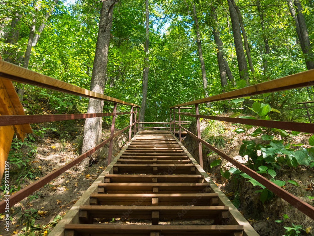 Wooden stair in the summer forest. Travel concept Wooden stair in the summer forest. Travel concept