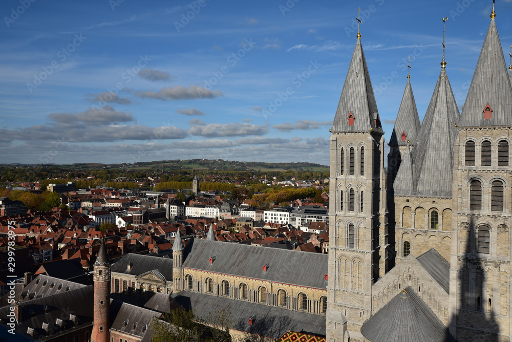 Cathédrale et toits de la cité médiévale de Tournai, Belgique