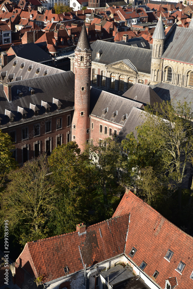 Toits de la cité médiévale de Tournai, Belgique StockFoto Adobe Stock