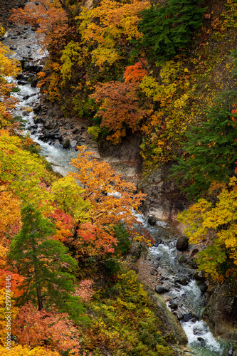 The Mount Hakkoda in autumn 