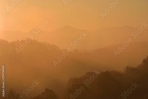 美瑛 三栄の丘と朝霧