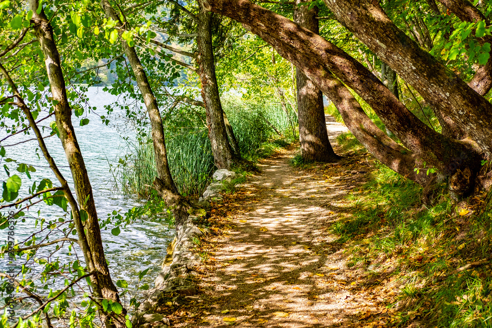 Forest path in National Park Plitvice Lakes in autumn, Croatia Forest path in National Park Plitvice Lakes in autumn, Croatia