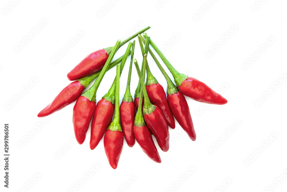 Red chilies displayed on white background Red chilies displayed on white background