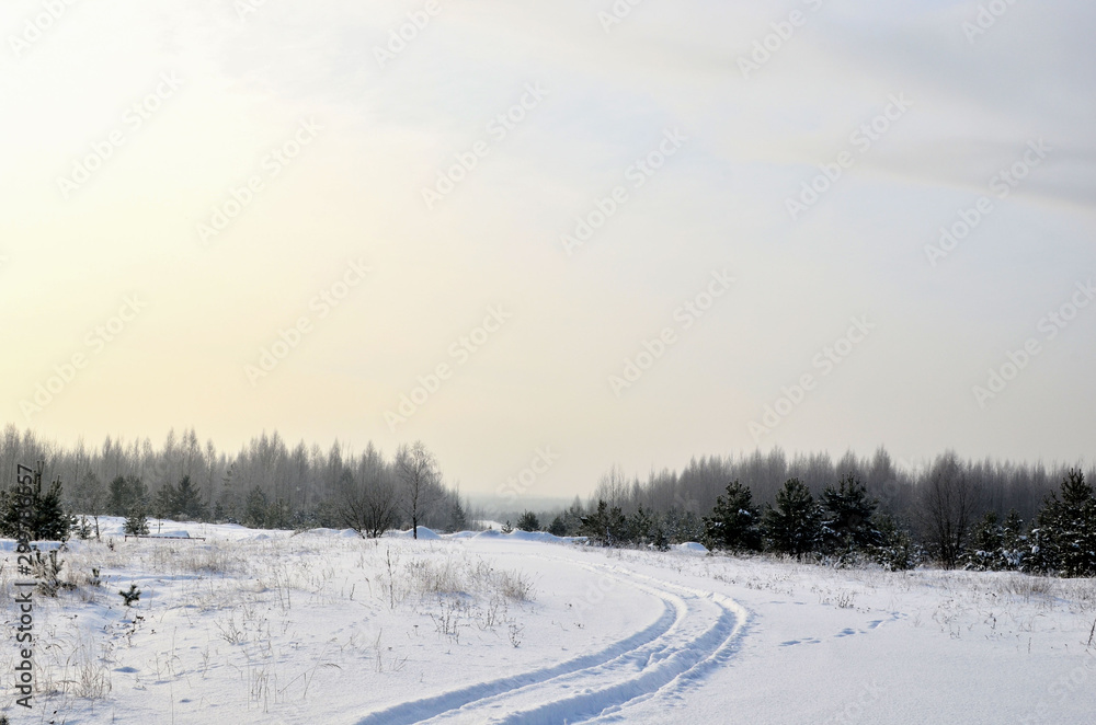 Snowy Road in Winter Forest. Awesome winter landscape. A snow-covered path among the trees in the wild forest. Forest in the snow. Snowy Road in Winter Forest. Awesome winter landscape. A snow-covered path among the trees in the wild forest. Forest in the snow.
