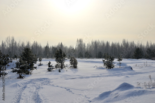 Snowy Road in Winter Forest. Awesome winter landscape. A snow-covered path among the trees in the wild forest. Forest in the snow.