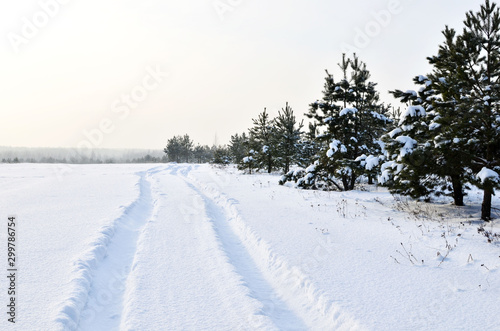 Snowy Road in Winter Forest. Awesome winter landscape. A snow-covered path among the trees in the wild forest. Forest in the snow. © MaxSafaniuk