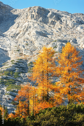 Autumn landscape in Val di Fanes  Dolomites  Italy  Europe