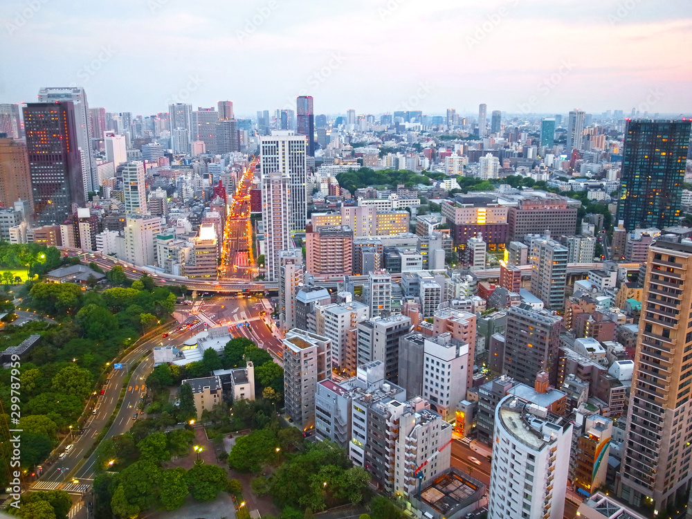 Obraz premium 【東京の夜景】東京タワーから見た風景