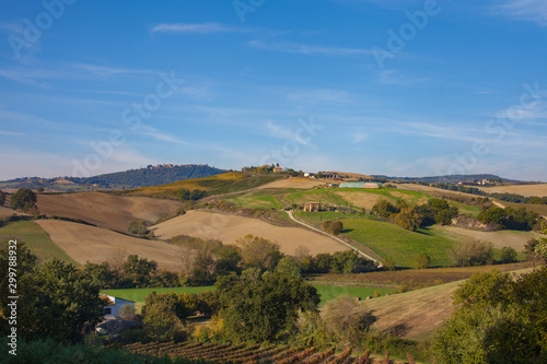 landscape of Italy wine country hills and vivid blue sky