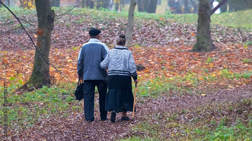 Old grandparents stroll through the city park in the fall_