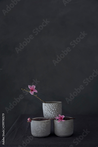 Three white pots with pink flowers photo