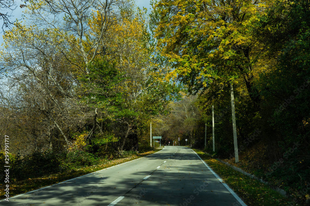 Autumnal road landscape Autumnal road landscape