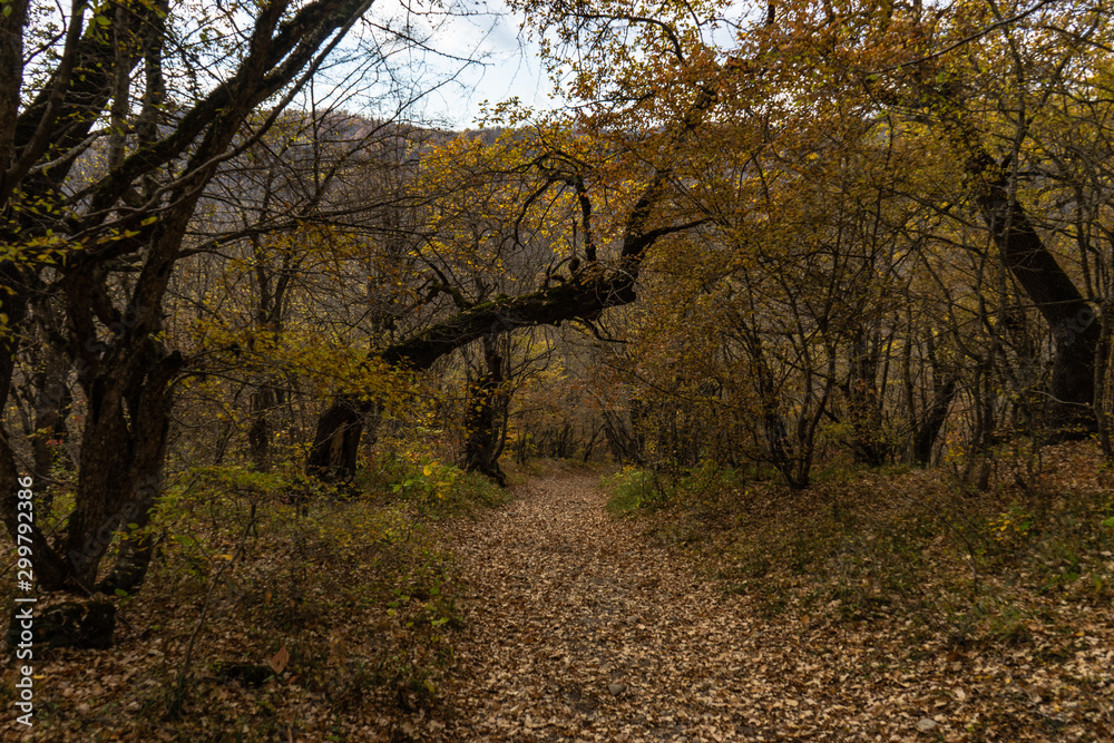 Autumnal travel landscape