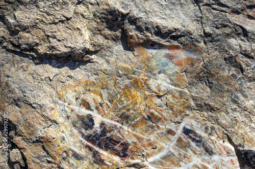 Texture of a chert sedimentary rock