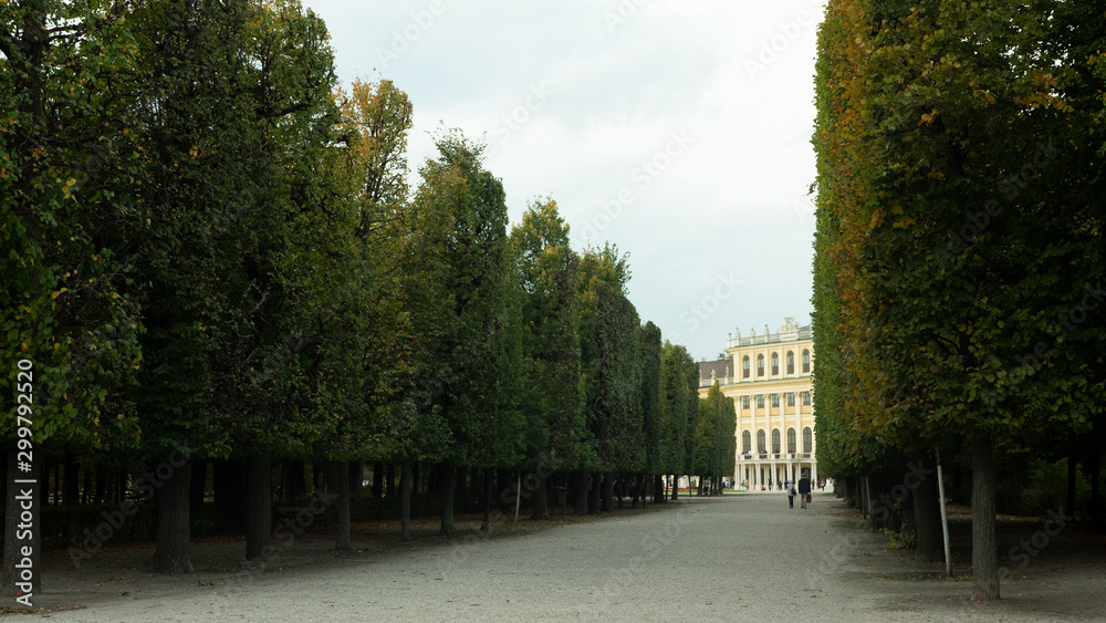 Big trees in the garden of Belvedere building complex in Vienna, Austria Big trees in the garden of Belvedere building complex in Vienna, Austria