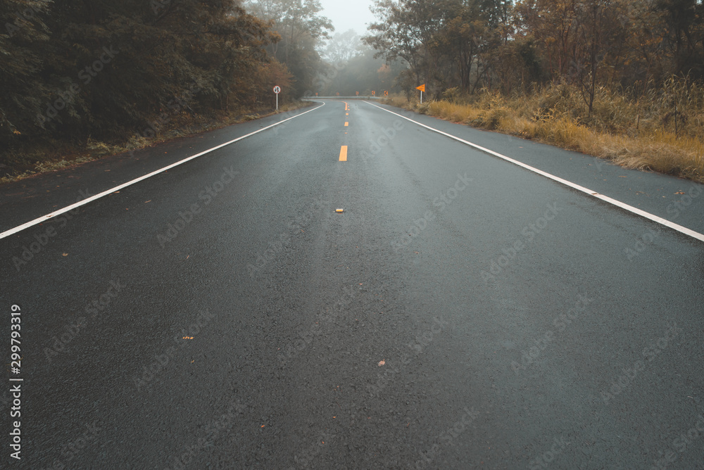 Deserted Straight Mountain Road on a Rainy Autumn Day. Some Fallen Leaves are on the Wet Asphalt. Beautiful Fall Colors. Adirondacks, Upstate New York Deserted Straight Mountain Road on a Rainy Autumn Day. Some Fallen Leaves are on the Wet Asphalt. Beautiful Fall Colors. Adirondacks, Upstate New York