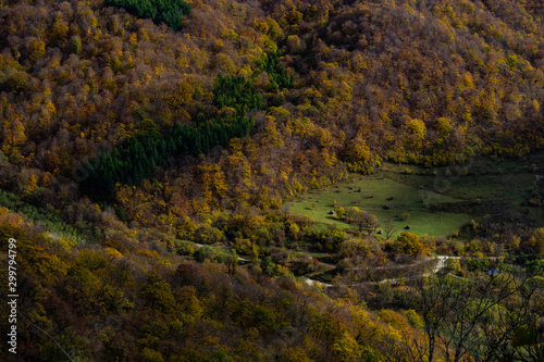 Autumnal travel landscape