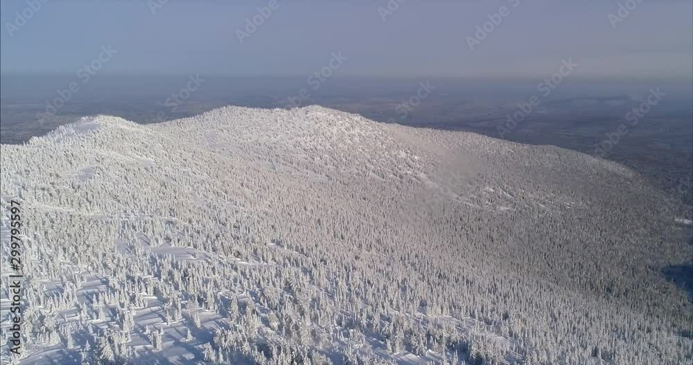 Aerial view of winter mountains, alpine meadow - hills covered with huge pine trees and snow-capped peaks on the horizon, beauty of wildlife. Aerial view of winter mountains, alpine meadow - hills covered with huge pine trees and snow-capped peaks on the horizon, beauty of wildlife.