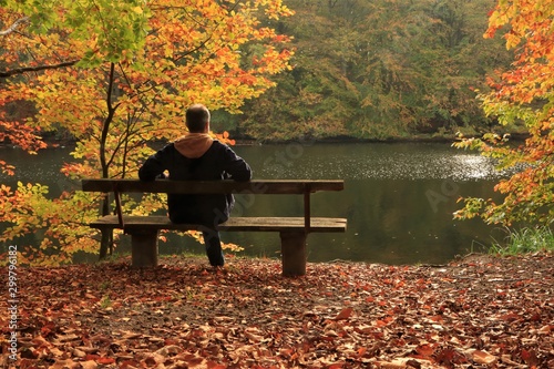 man sitting alone on a park bench in colorful fall scenery photo