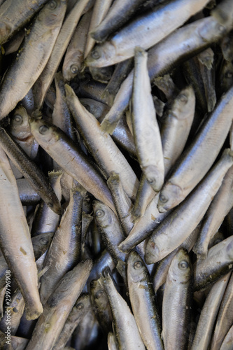 Bunch of pan fish in one pile. Marine or sea fish, uncooked, frozen.