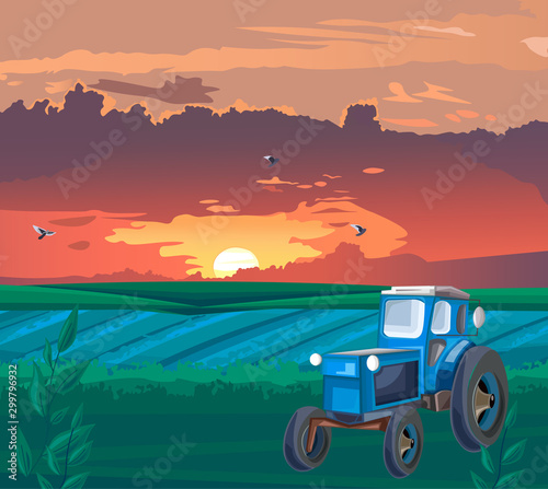 Blue Tractor in the field at sunset. Warm orange sky with clouds. Agricultura...