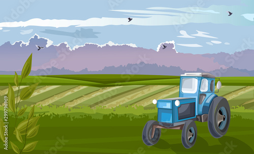 Blue tractor in the green field at daylight. Cloudy sky and birds flying. Agr...